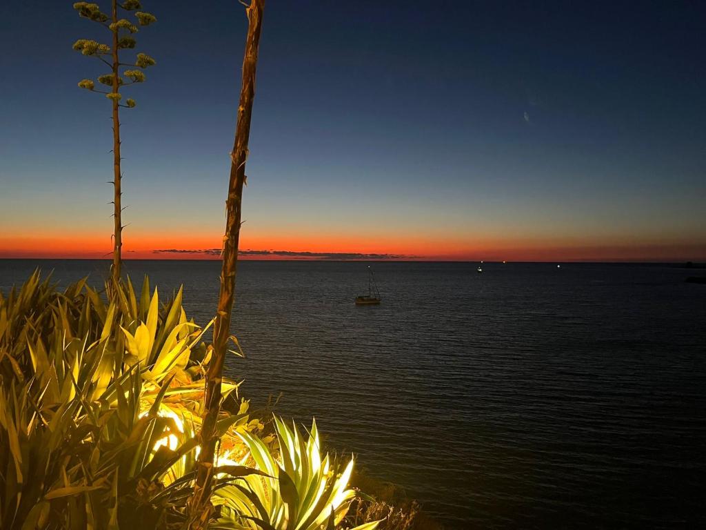 Il tramonto a La Praiola con l'agave in fiore